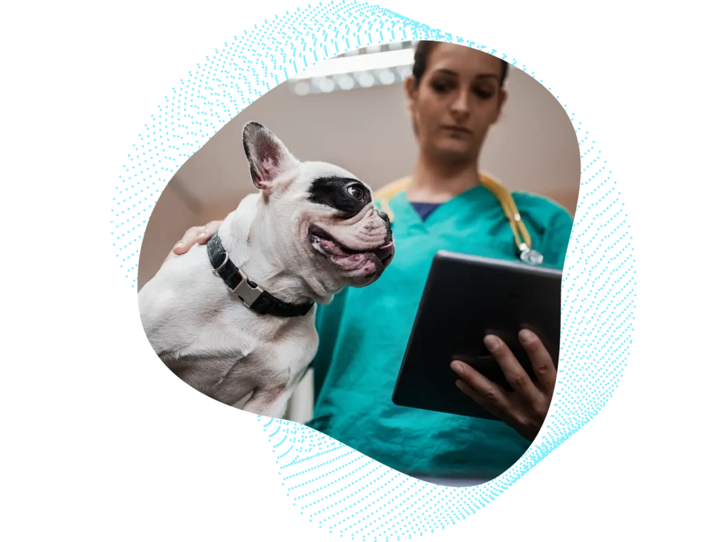 Animal Health Header